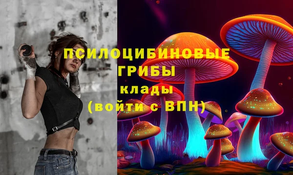 прущие грибы Алексеевка