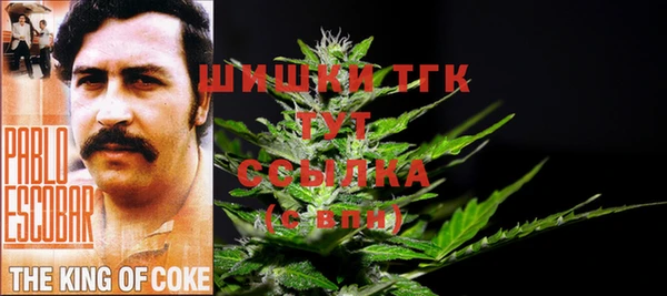 мдпв Сатка