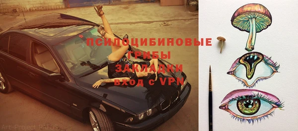 прущие грибы Алексеевка