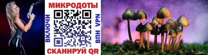 где можно купить наркотик  Асино  Псилоцибиновые грибы Magic Shrooms 